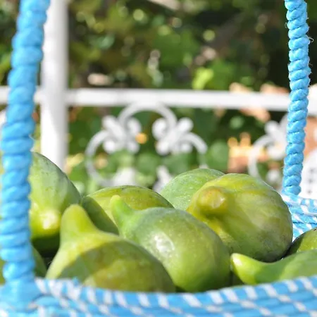 Lamie Di Olimpia Отель типа 