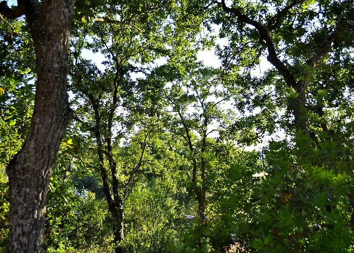 Bed and Breakfast Lamie Di Olimpia Locorotondo